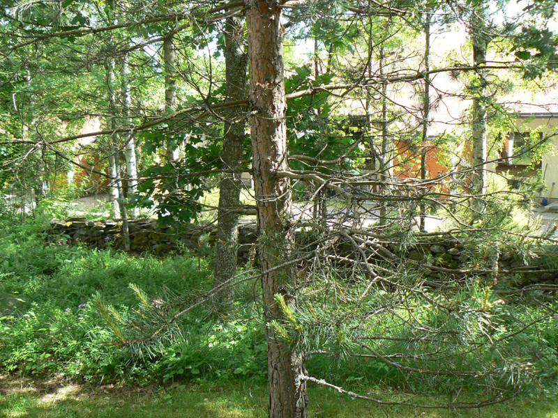 P1090440